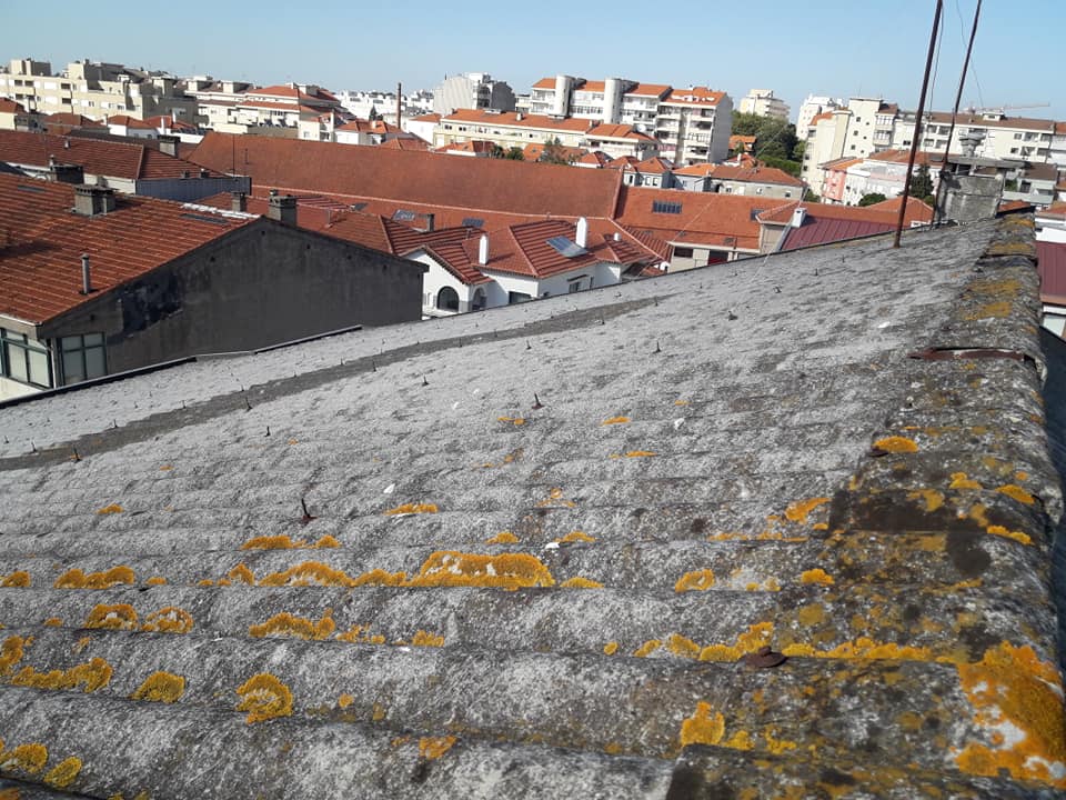 Coberturas